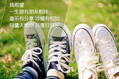 丁楚音龚安墨最新章节_丁楚音龚安墨全文阅读