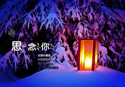 戚酒写的小说戚酒傅沉夜小说结局全本小说阅读