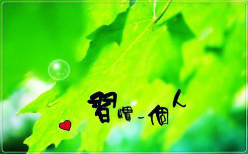 销售传递正能量的句子大全