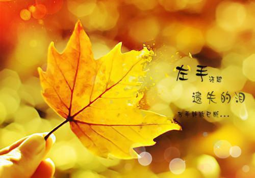 一年级儿童故事作文三篇