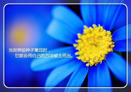 成语故事有图画