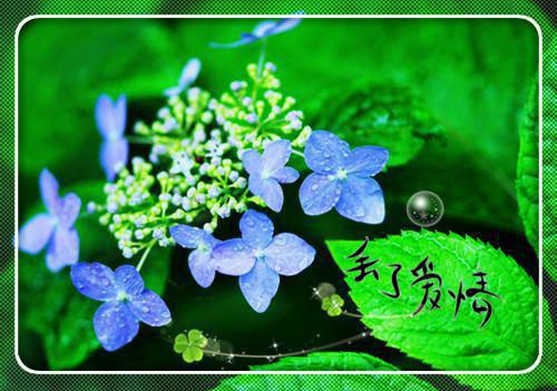 闺蜜死后第七年，我手撕系统杀穿修仙界最新章节_闺蜜死后第七年，我手撕系统杀穿修仙界全文免费阅读