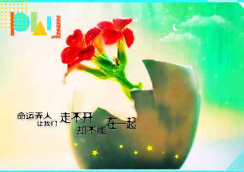 有人生哲理的寓言故事