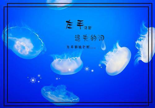 楚瑜孟锦时写的小说安安的态度楚瑜孟锦时小说全文阅读