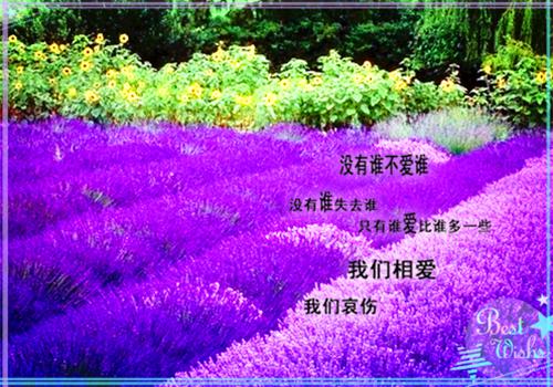 应届毕业生空白简历表格模板