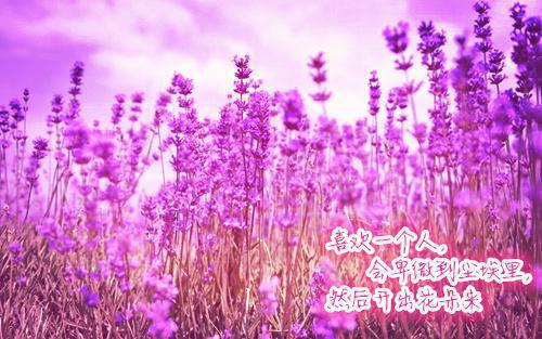 睡前故事哪个好