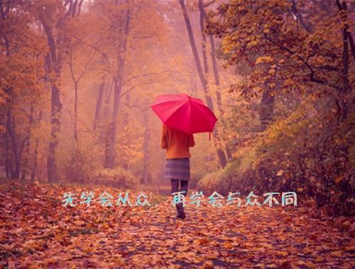 教师个人工作简历最新范文