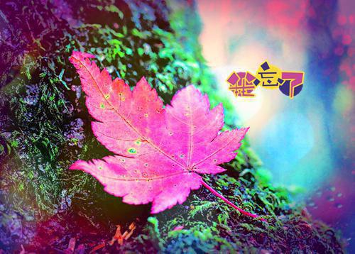 行政人资经理个人简历范文