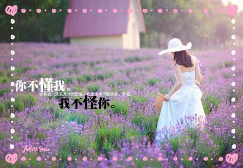 [完结]韩滢月宋豫之全章节阅读