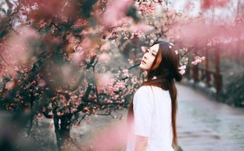 快穿之女主是只狗「精彩小说」花露水易子辰大结局阅读