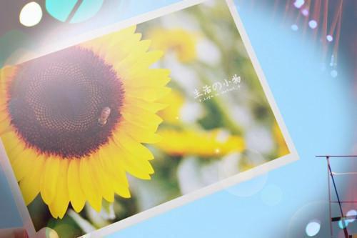 烟雨散尽，虽悔难追：结局+全文（乔瑾瑜秦文轩）全文免费阅读无弹窗大结局_(烟雨散尽，虽悔难追：结局+全文)最新章节列表（乔瑾瑜秦文轩）