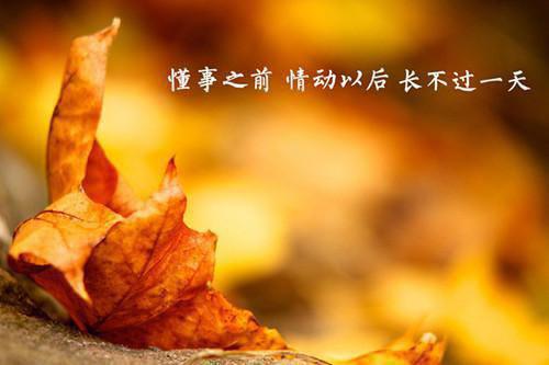 一年级小学生寓言故事3篇
