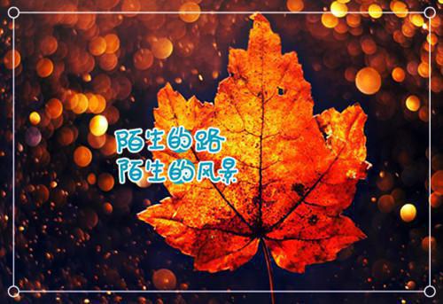 人生感悟文章：把握自己