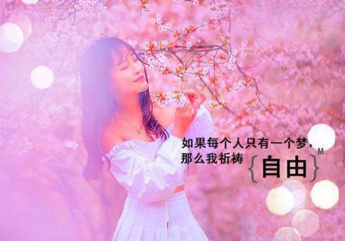 沈听澜的小说_沈听澜陆向暖无弹窗大结局沈听澜陆向暖大结局阅读