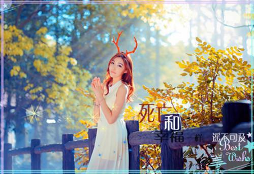 沈芙贺衍舟全文最新章节正版小说免费阅读