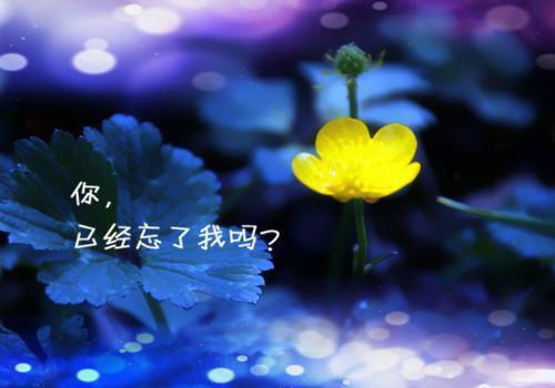 精彩小说迟来挚爱童洁莫绍谦全文免费阅读