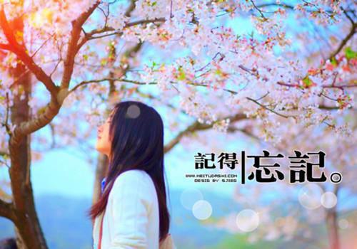 审计岗位个人简历模板