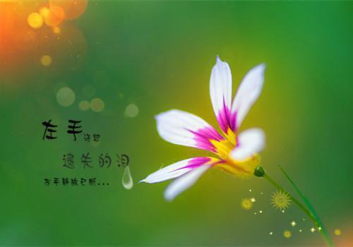 沉迷霸总文学的妹妹最新章节_沉迷霸总文学的妹妹全文免费阅读