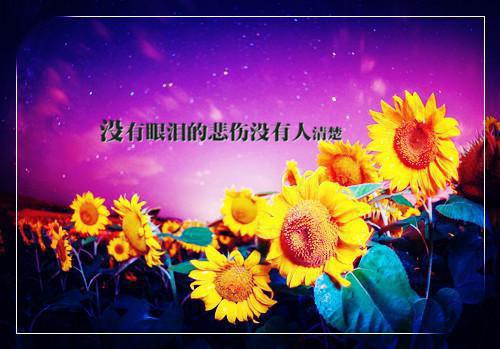有关青春的简短励志故事