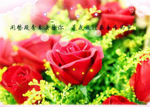 英语翻译的童话故事