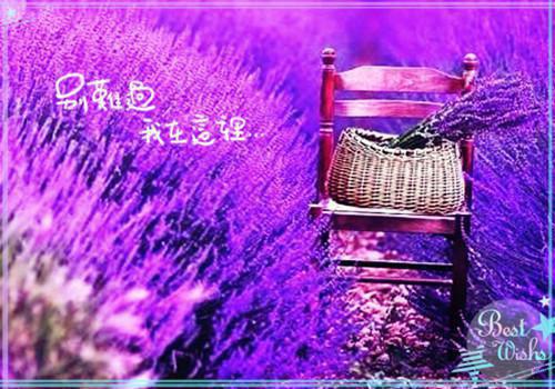 IT职业个人简历写作技巧