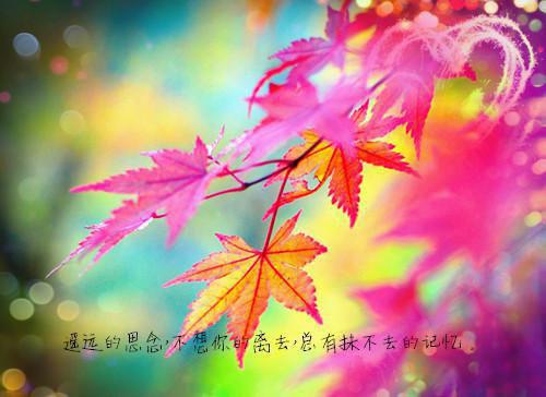 情深似水难再收最新章节_情深似水难再收全文免费阅读