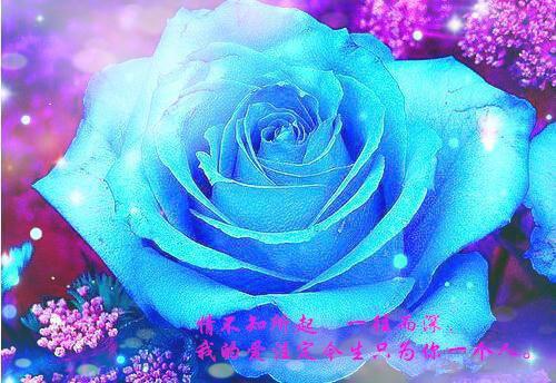 被渣当天，我攻下前任的禁欲哥哥小说(沈舒薇霍承南）小说全文免费阅读无弹窗大结局_（被渣当天，我攻下前任的禁欲哥哥小说）沈舒薇霍承南小说全文免费阅读最新章节列表（被渣当天，我攻下前任的禁欲哥哥小说）