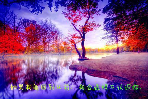 大学生个人简历文字版范文