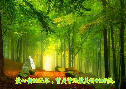 伤心男人爱情故事