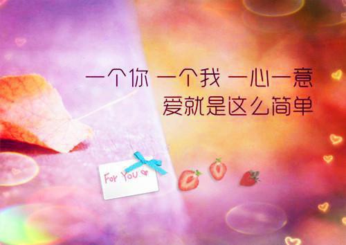 网编个人简历表格