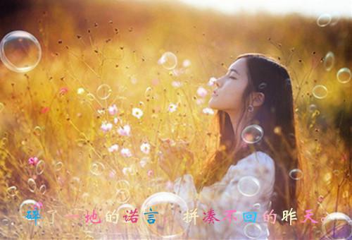 宋灵宣秦煜辰全文免费阅读无弹窗大结局_宋灵宣秦煜辰小说书名是《宋灵宣秦煜辰》