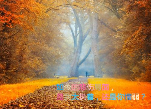 有关人生哲理的故事