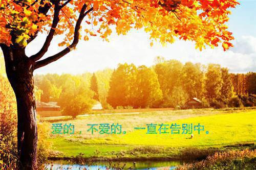 姜子媛（爱火谷子小说）全文免费姜子媛读无弹窗大结局_(姜子媛爱火谷子小说小说免费姜子媛读)最新章节列表（姜子媛）