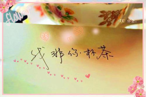 17大专生个人简历范文