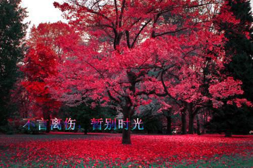 体系工程师应聘个人简历范文