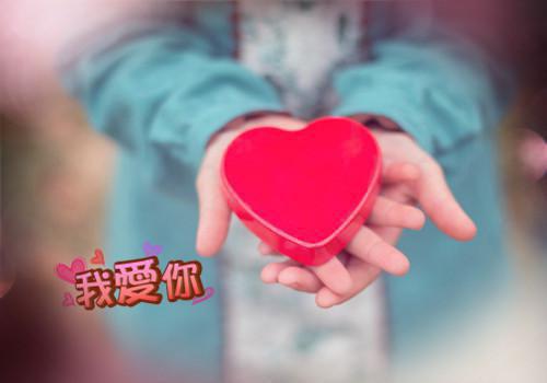沈承澜楚钰小说在线阅读 沈承澜楚钰最新章节目录