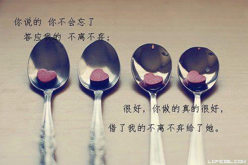 财务管理个人求职简历模板范本