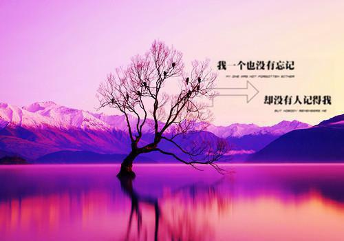 妈妈讲给宝宝的故事