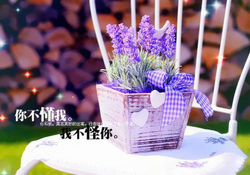 姜眠儿秦封晟(姜眠儿秦封晟)全文免费阅读无弹窗大结局_(姜眠儿秦封晟免费阅读全文大结局)最新章节列表（姜眠儿秦封晟）