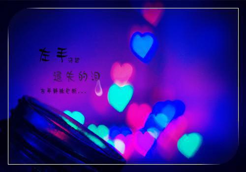 旧日白月光热门小说（沐秋烟陆知宴）免费试读