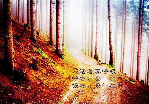 医学生专业个人简历自荐信范文