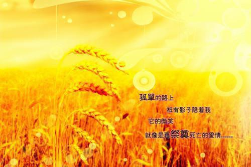 不良小巷小说全文免费阅读(方念方衡）小说全文免费方念方衡读无弹窗大结局_（方念方衡）不良小巷小说小说全文免费方念方衡读最新章节列表（方念方衡）