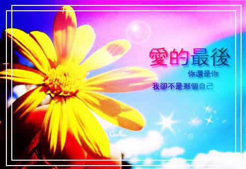 叶铭苏兰最新章节_叶铭苏兰全文免费阅读