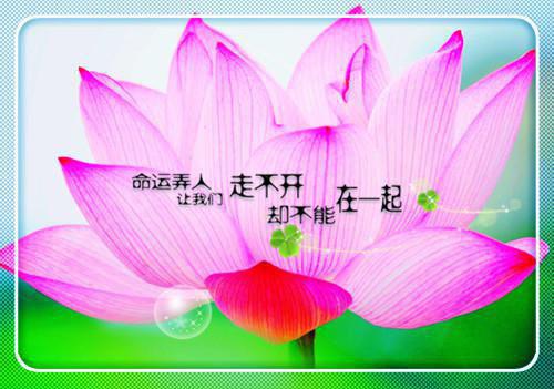 玖璃玄寒最新章节_玖璃玄寒全文免费阅读