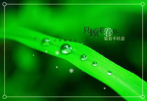 逃荒路上开了挂，锦鲤萌宝带回家！全文晴天小说全文免费晴天读无弹窗大结局_(逃荒路上开了挂，锦鲤萌宝带回家！全文晴天)晴天最新章节列表（逃荒路上开了挂，锦鲤萌宝带回家！全文晴天）