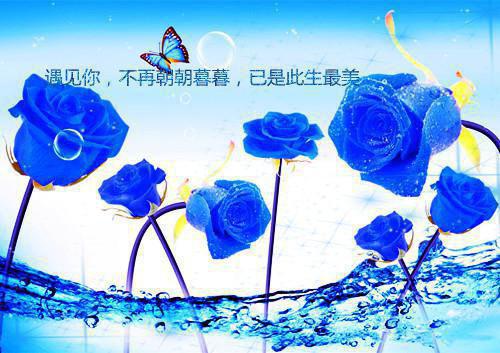 韩天李雪儿最新章节_韩天李雪儿全文免费阅读