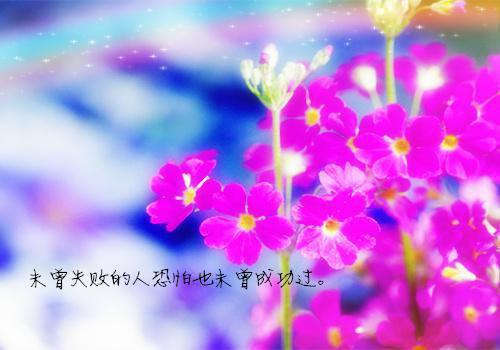 妖孽废太子最新章节_妖孽废太子全文免费阅读