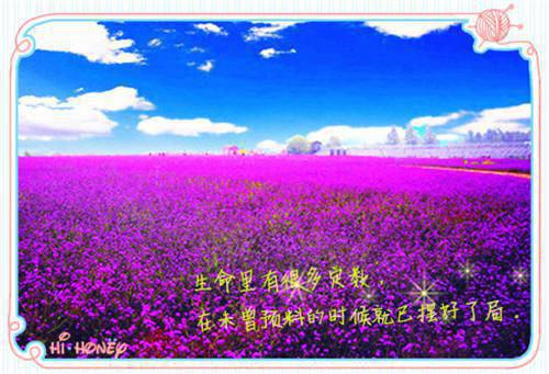 卫禄杜云舒（滚滚马奴小说）全文免费卫禄杜云舒读无弹窗大结局_(卫禄杜云舒滚滚马奴小说小说免费卫禄杜云舒读)最新章节列表（卫禄杜云舒）