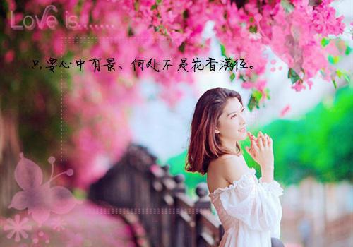 (番外)+(全文)特工老婆变心后，我选择假死离开：结局+番外+完结（江雪曦周泽轩）全文免费阅读无弹窗大结局_江雪曦周泽轩全文最新章节列表（特工老婆变心后，我选择假死离开：结局+番外+完结）