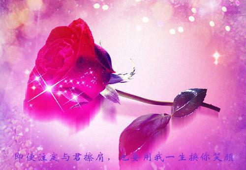 沈千裘姜羽熙最新章节_沈千裘姜羽熙全文免费阅读